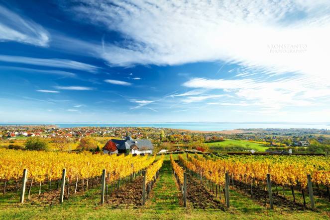 23004665_1974258862590767_3583079238615648294_o