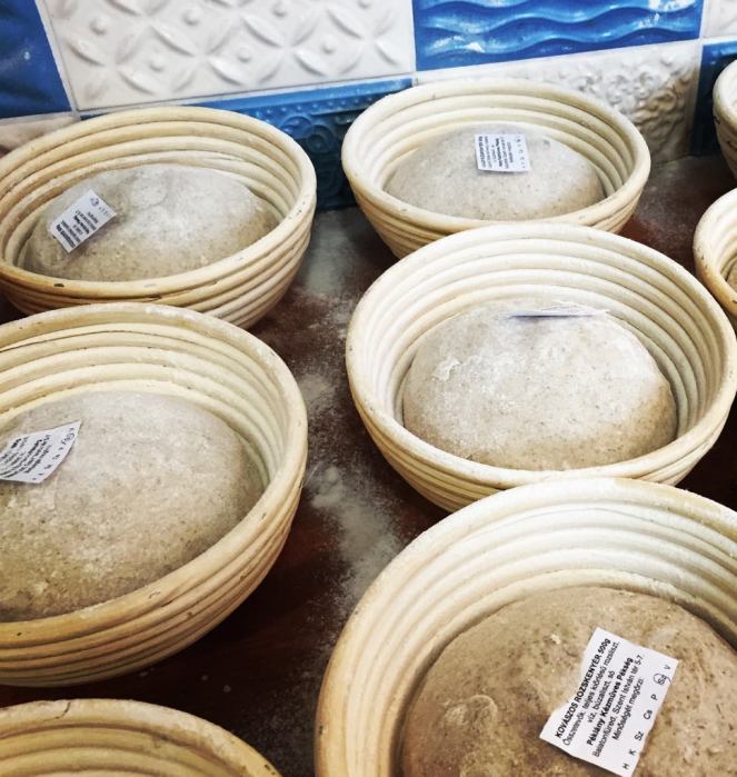 29695488_584891285199711_9054173492445970432_o