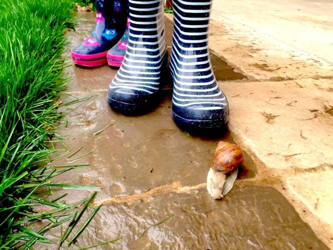 30716505_591119204576919_7817421630744821760_n-2