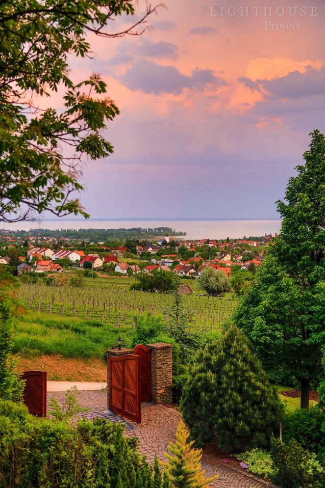 32155307_10155589129312507_1820239481148538880_o